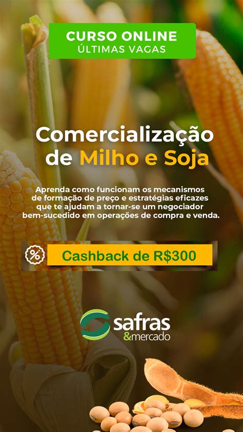Cotação da Soja hoje .